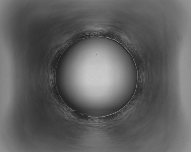 X0000113101109200909041220