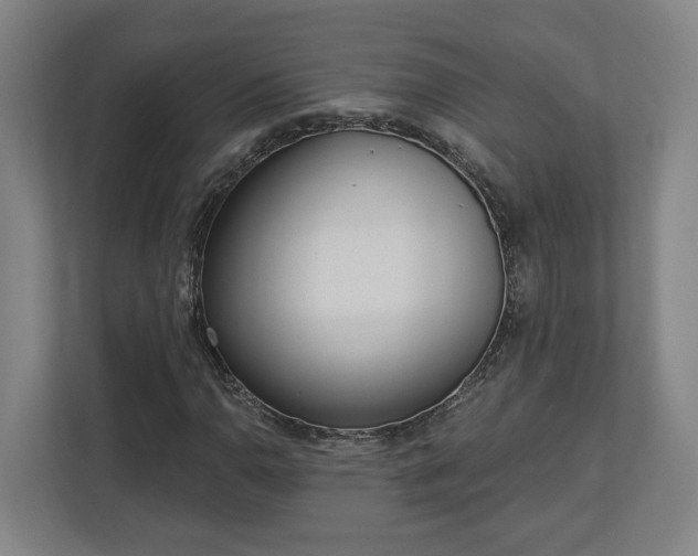 X0000113101110200909041220