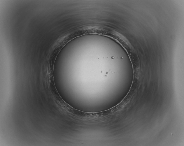 X0000113101111200909041220
