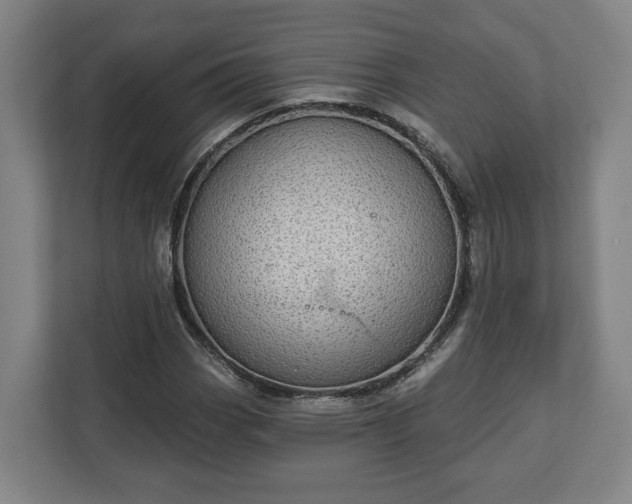 X0000113101113200909041220