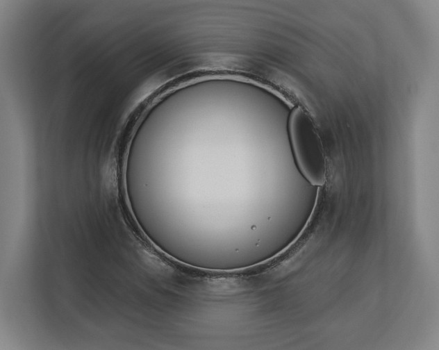 X0000113101114200909041220