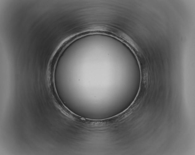 X0000113101116200909041220