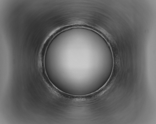 X0000113101118200909041220