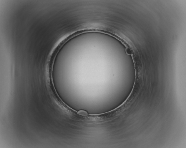 X0000113101120200909041220