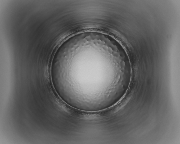 X0000113101121200909041220