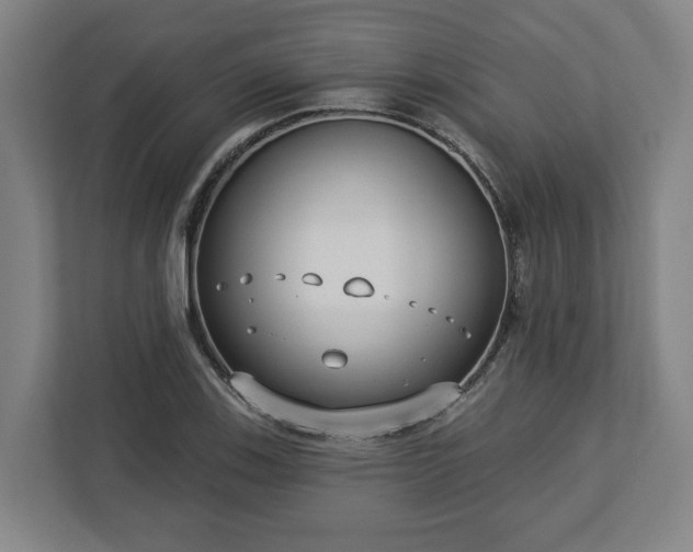 X0000113101123200909041220