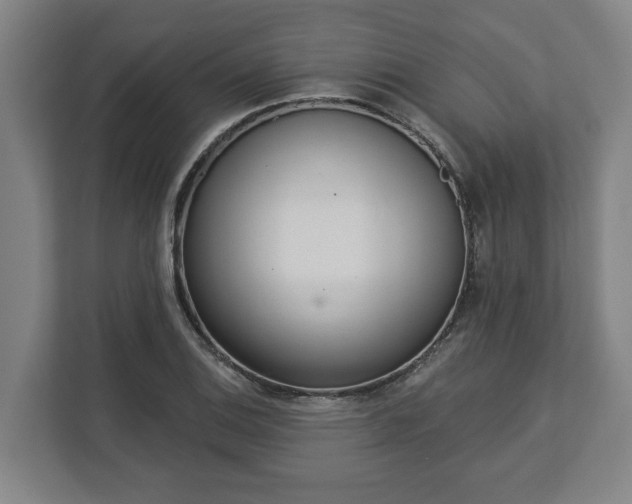 X0000113101124200909041221