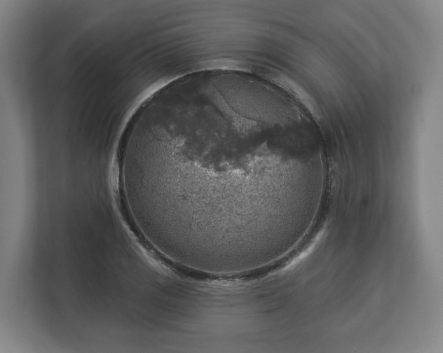 X0000113101125200909041221