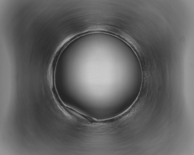 X0000113101127200909041221