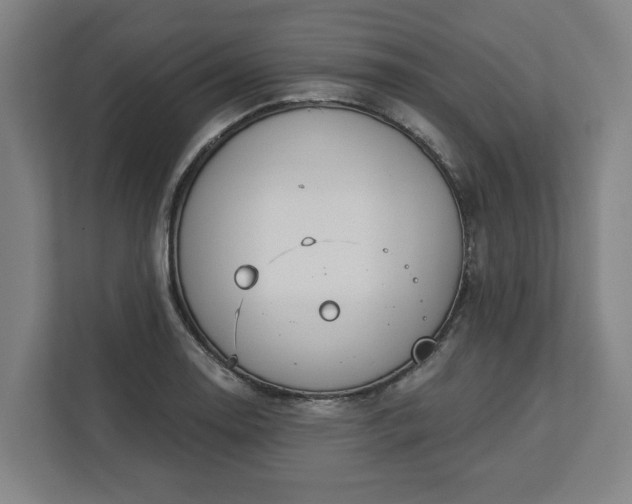 X0000113101130200909041221