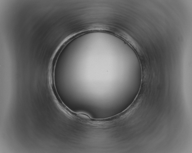X0000113101132200909041221