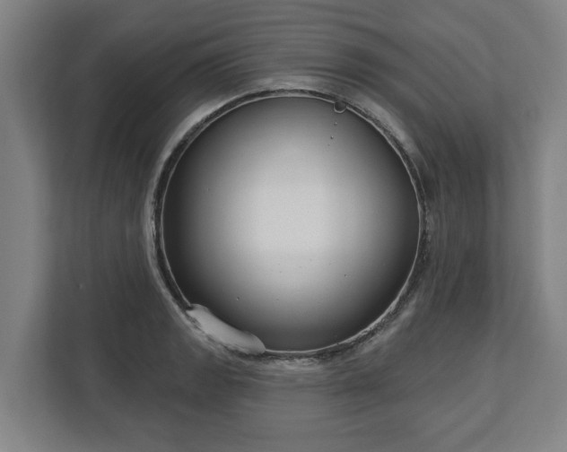 X0000113101133200909041221