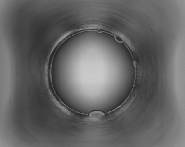 X0000113101134200909041221