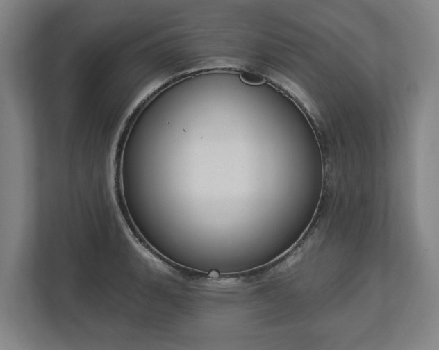X0000113101135200909041221