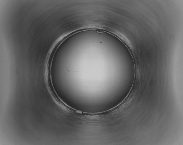 X0000113101136200909041221