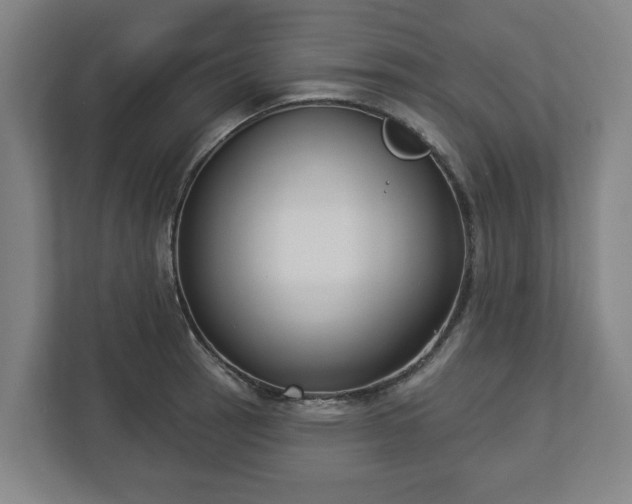 X0000113101137200909041221