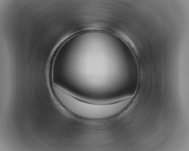X0000113101138200909041221