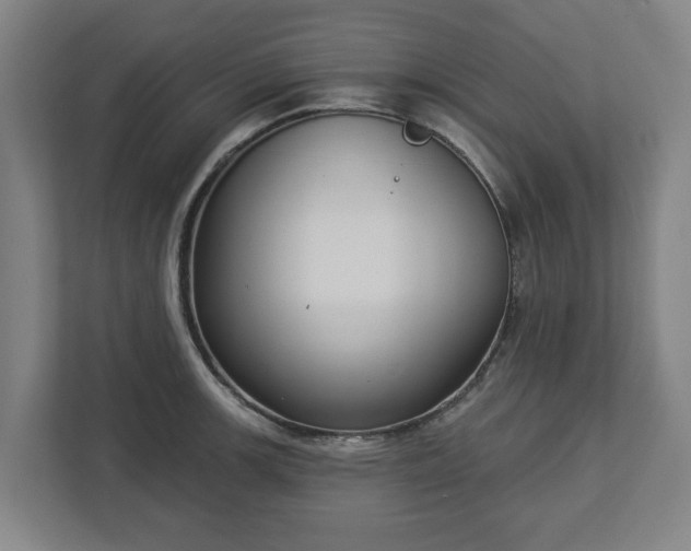 X0000113101139200909041221