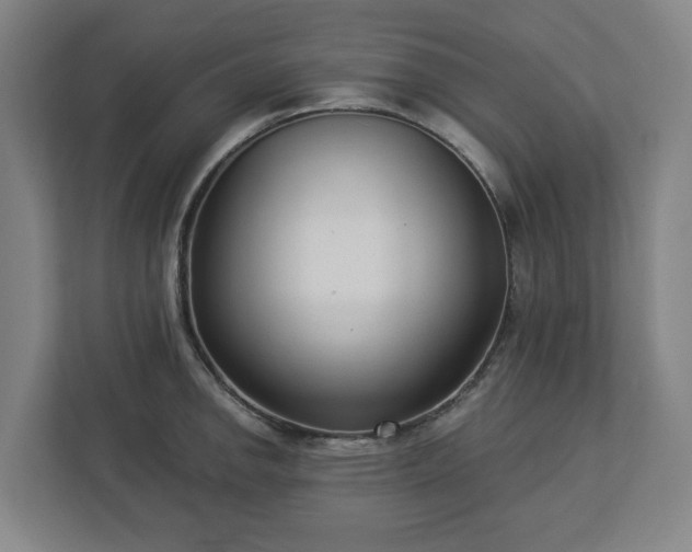 X0000113101142200909041221