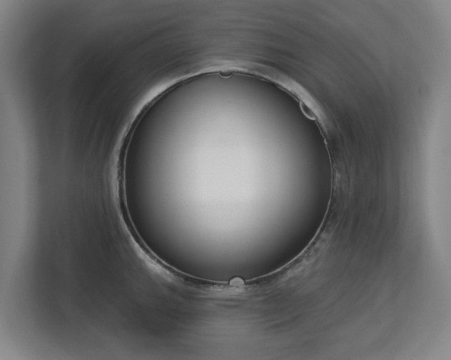 X0000113101143200909041221