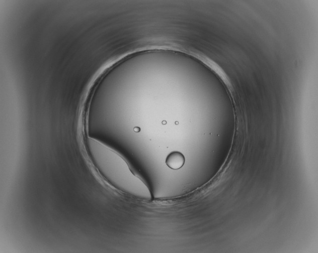 X0000113101144200909041221