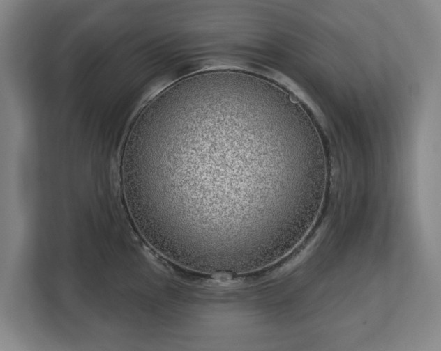 X0000113101145200909041221