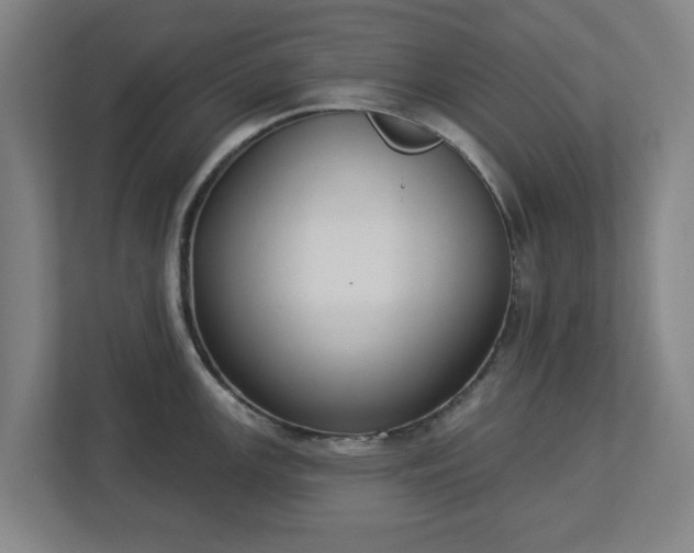 X0000113101147200909041221