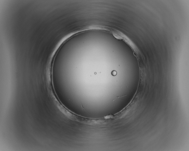 X0000113101148200909041221