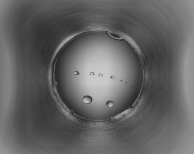 X0000113101149200909041221