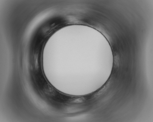 X0000113101150200909041221