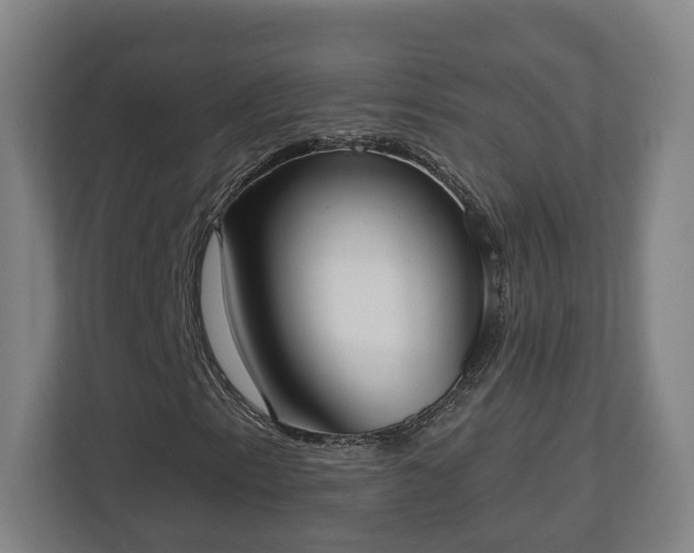 X0000113101153200909041220
