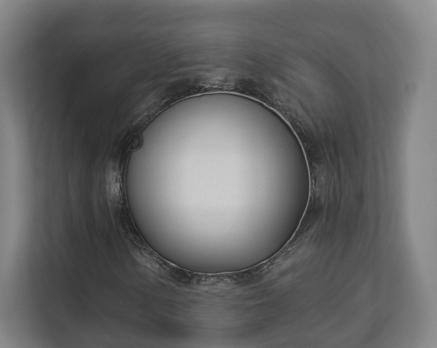 X0000113101154200909041220