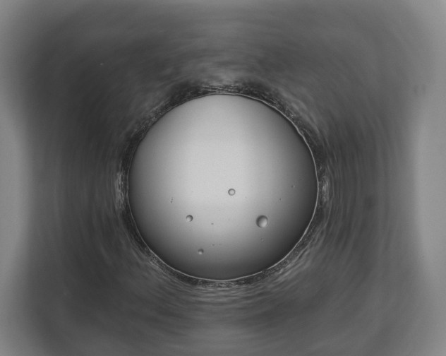 X0000113101156200909041220