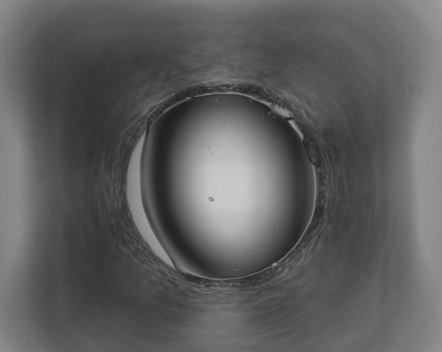 X0000113101157200909041220