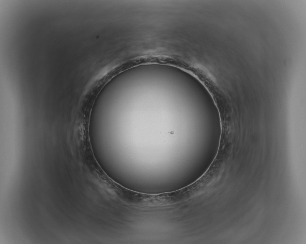 X0000113101159200909041220