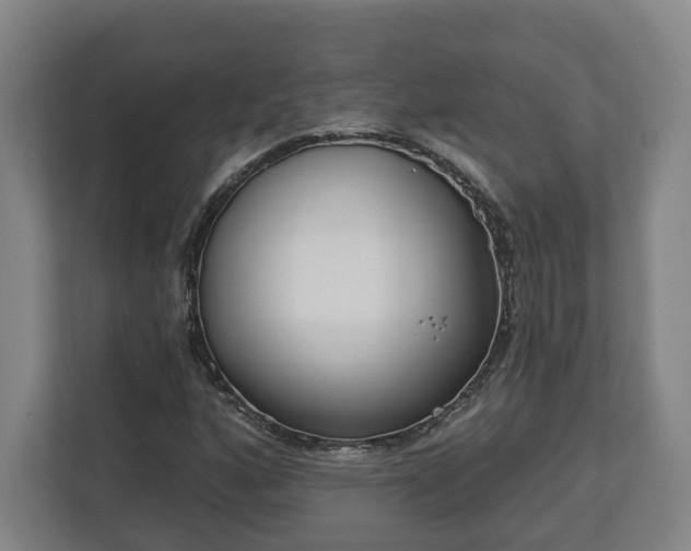 X0000113101160200909041220
