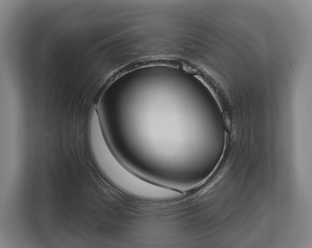 X0000113101161200909041220