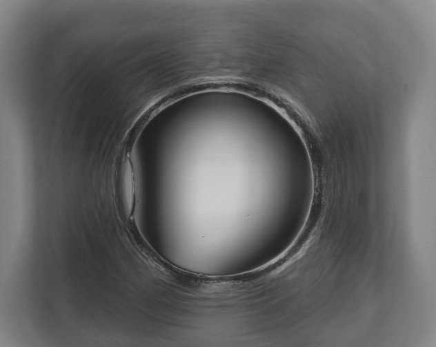 X0000113101162200909041220
