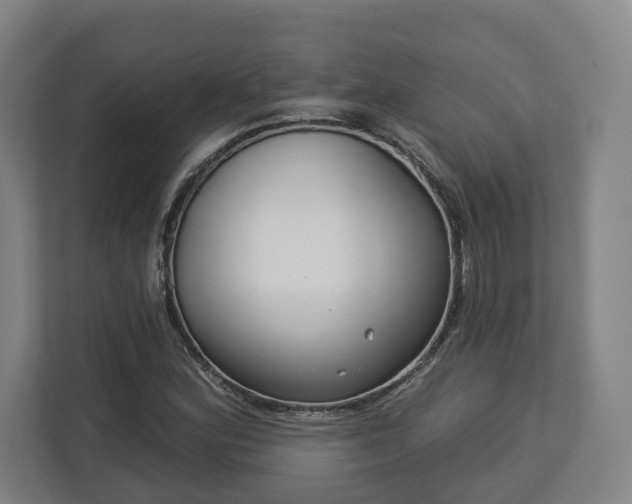 X0000113101164200909041220