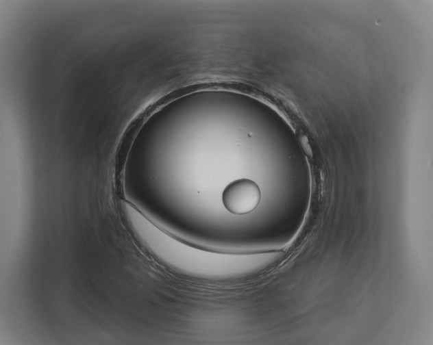 X0000113101165200909041220