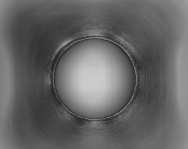 X0000113101166200909041220