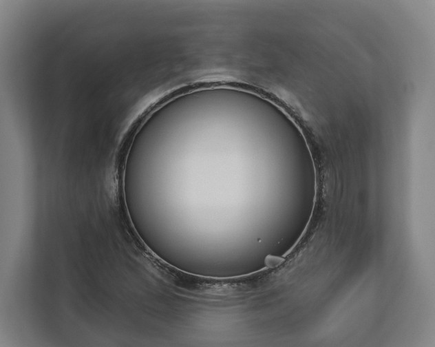 X0000113101167200909041220