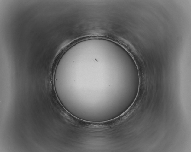X0000113101168200909041220