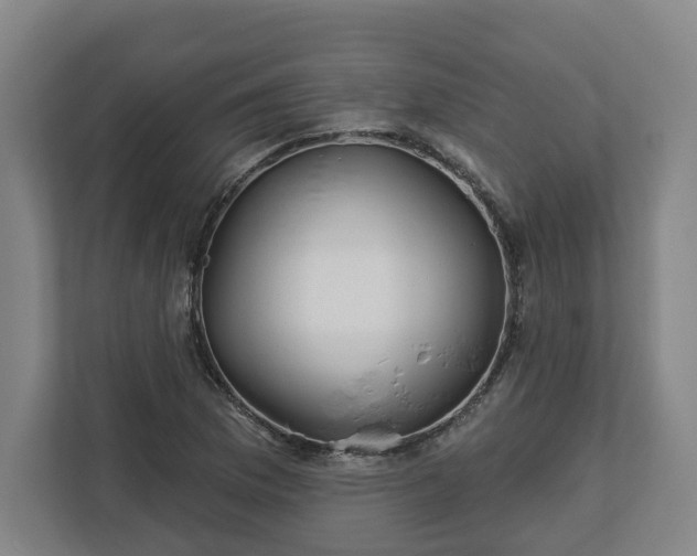 X0000113101169200909041220