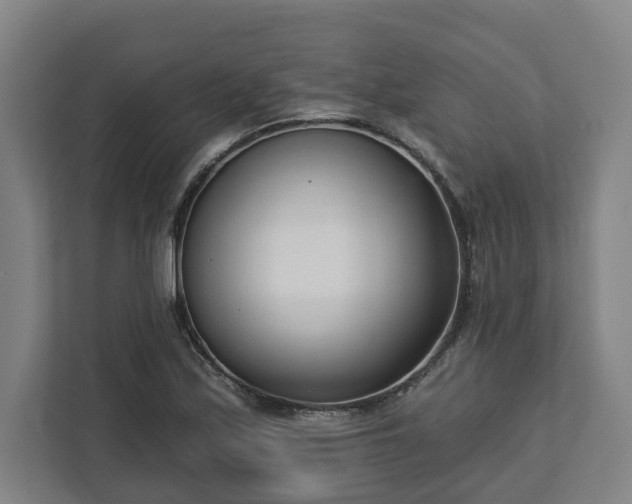 X0000113101171200909041220