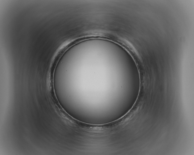 X0000113101172200909041220