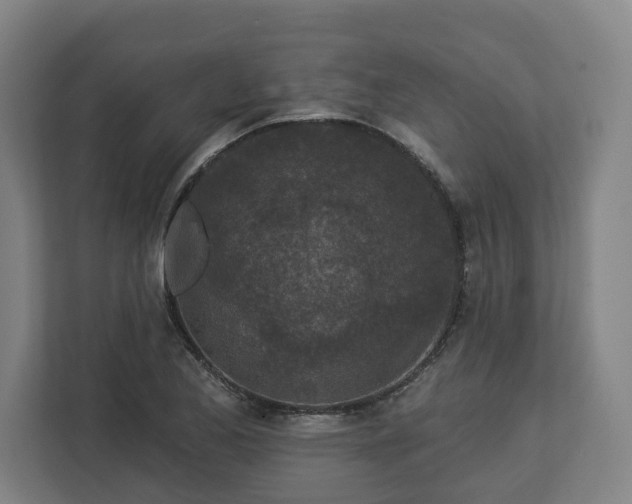 X0000113101173200909041220