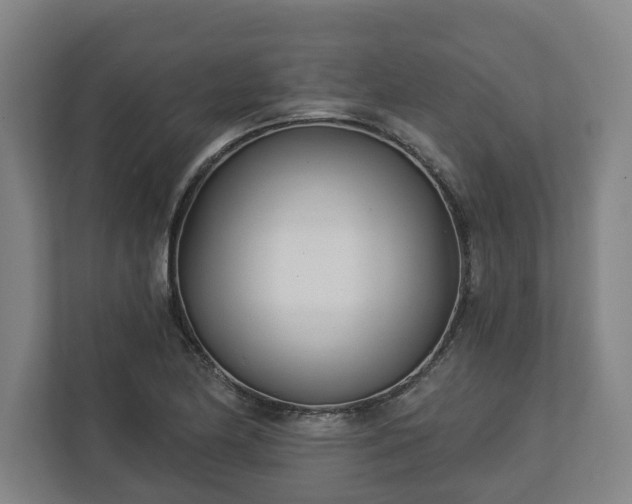 X0000113101174200909041220