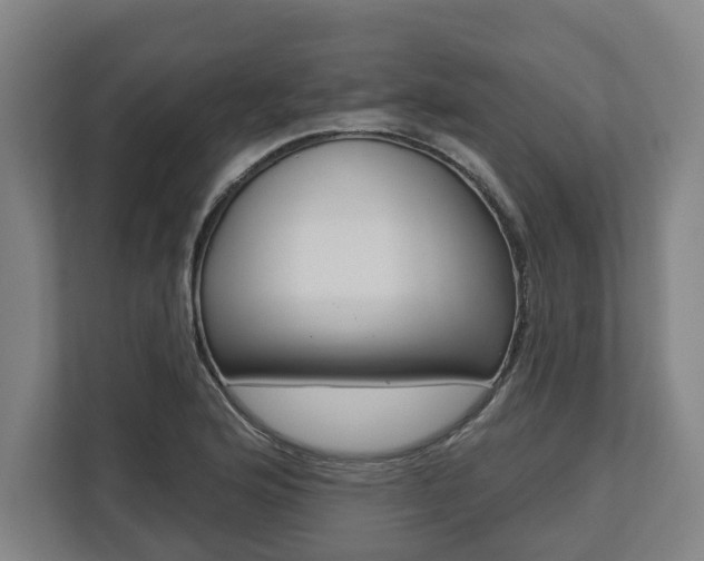 X0000113101176200909041220