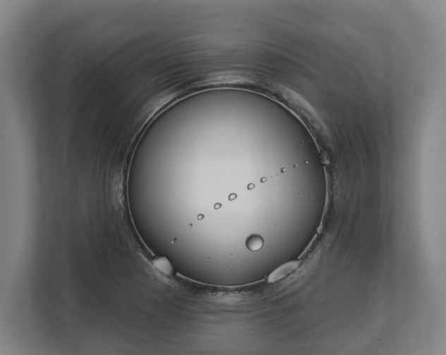 X0000113101177200909041220